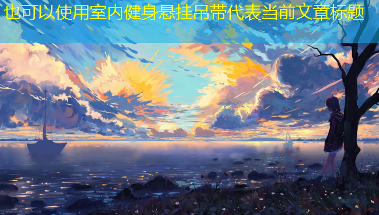 室内健身悬挂吊带