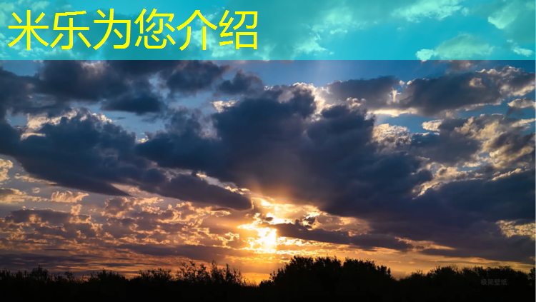 米乐：康乐佳健身房踏步机