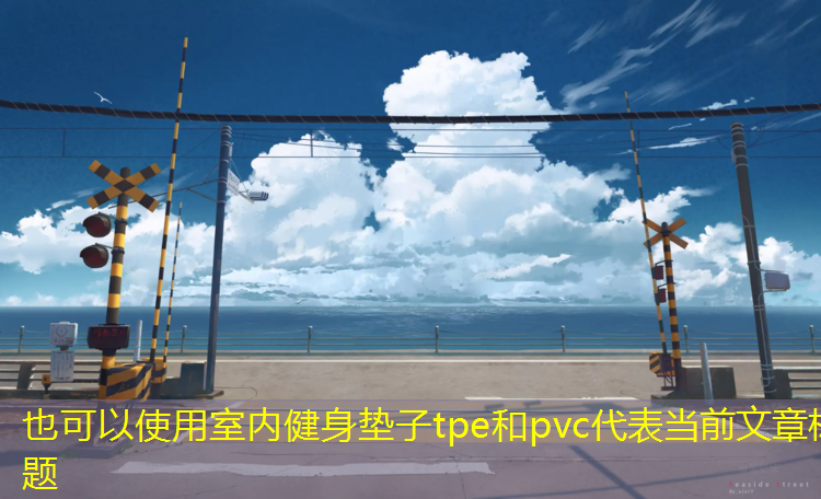 室内健身垫子tpe和pvc
